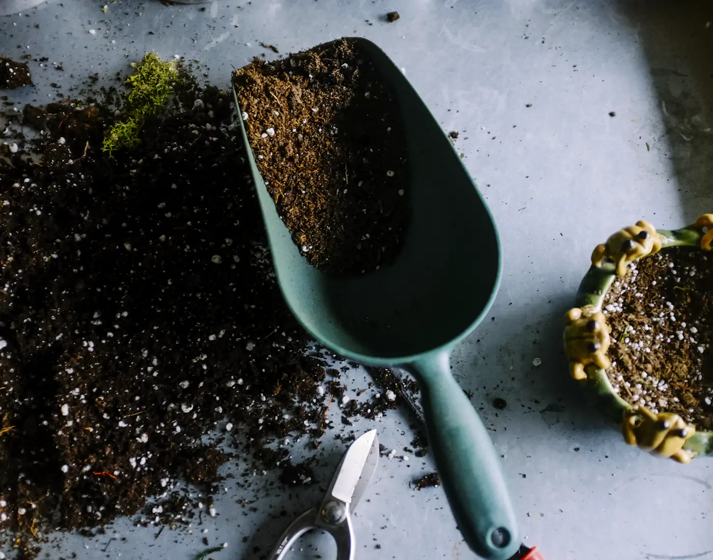 A scoop of soil, shears and a planted pot.